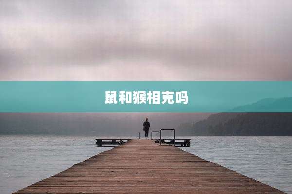 鼠和猴相克吗