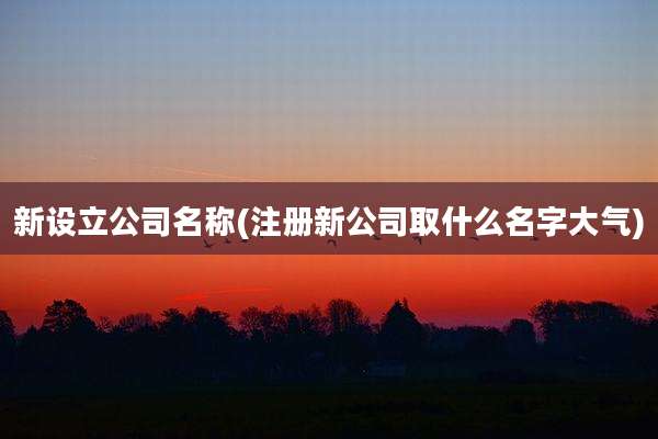 新设立公司名称(注册新公司取什么名字大气)