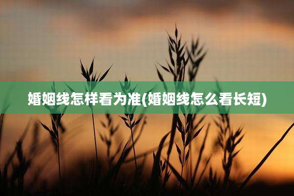 婚姻线怎样看为准(婚姻线怎么看长短)