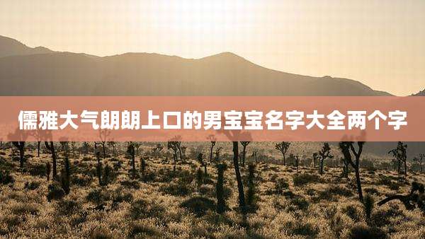 儒雅大气朗朗上口的男宝宝名字大全两个字
