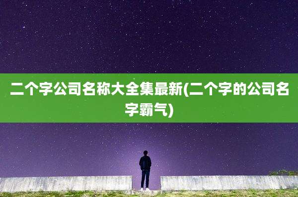 二个字公司名称大全集最新(二个字的公司名字霸气)