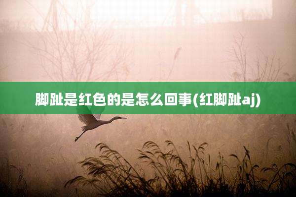 脚趾是红色的是怎么回事(红脚趾aj)