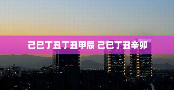 己巳丁丑丁丑甲辰 己巳丁丑辛卯