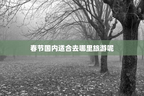 春节国内适合去哪里旅游呢