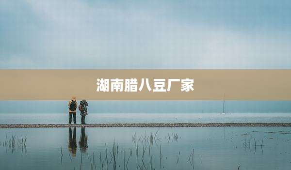 湖南腊八豆厂家