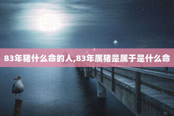 83年猪什么命的人,83年属猪是属于是什么命