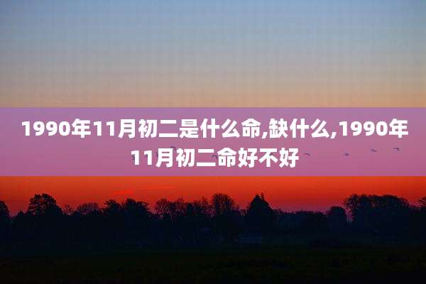 1990年11月初二是什么命,缺什么,1990年11月初二命好不好
