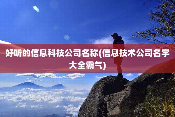 好听的信息科技公司名称(信息技术公司名字大全霸气)