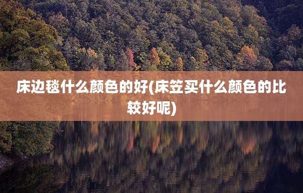 床边毯什么颜色的好(床笠买什么颜色的比较好呢)