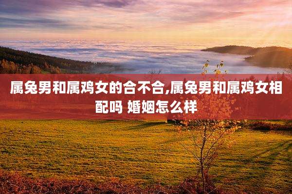 属兔男和属鸡女的合不合,属兔男和属鸡女相配吗 婚姻怎么样