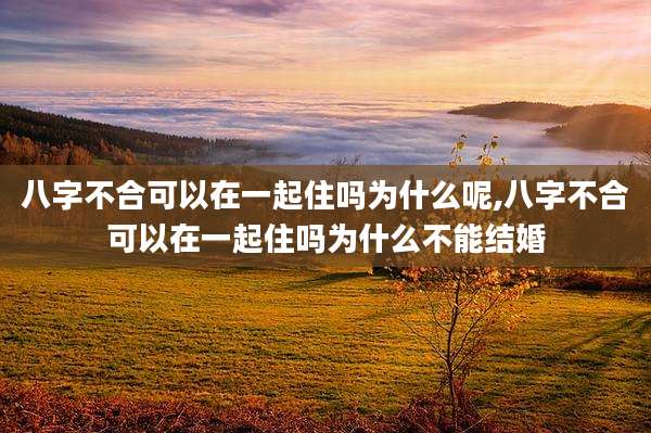 八字不合可以在一起住吗为什么呢,八字不合可以在一起住吗为什么不能结婚
