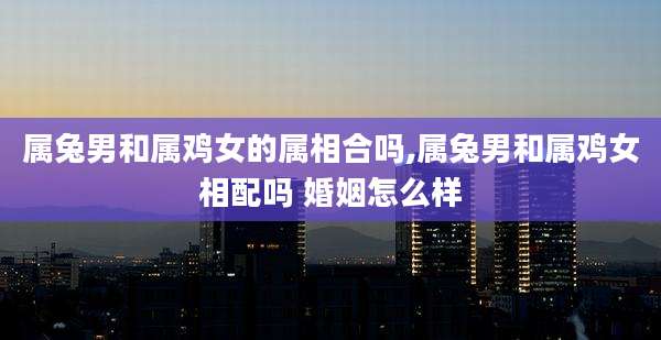 属兔男和属鸡女的属相合吗,属兔男和属鸡女相配吗 婚姻怎么样