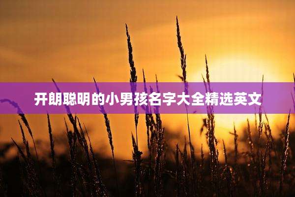 开朗聪明的小男孩名字大全精选英文