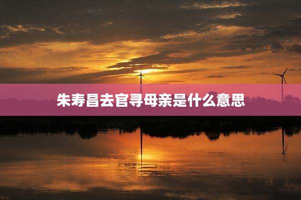 朱寿昌去官寻母亲是什么意思
