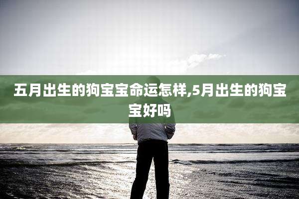 五月出生的狗宝宝命运怎样,5月出生的狗宝宝好吗