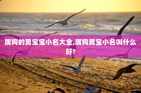 属狗的男宝宝小名大全,属狗男宝小名叫什么好?