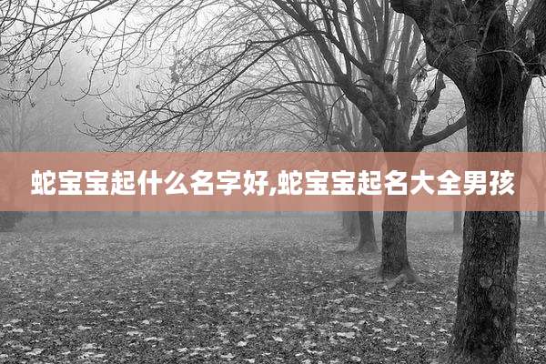 蛇宝宝起什么名字好,蛇宝宝起名大全男孩