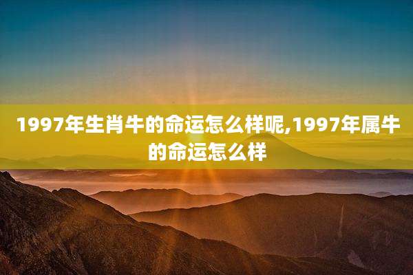 1997年生肖牛的命运怎么样呢,1997年属牛的命运怎么样