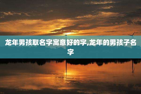 龙年男孩取名字寓意好的字,龙年的男孩子名字
