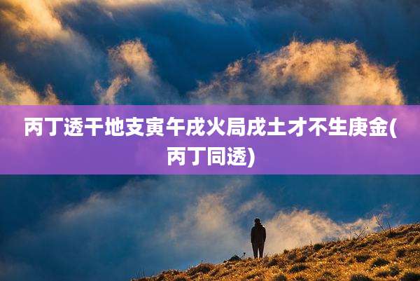 丙丁透干地支寅午戌火局戌土才不生庚金(丙丁同透)