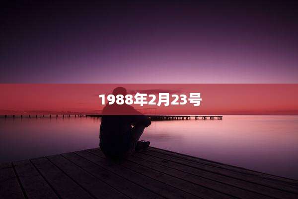 1988年2月23号