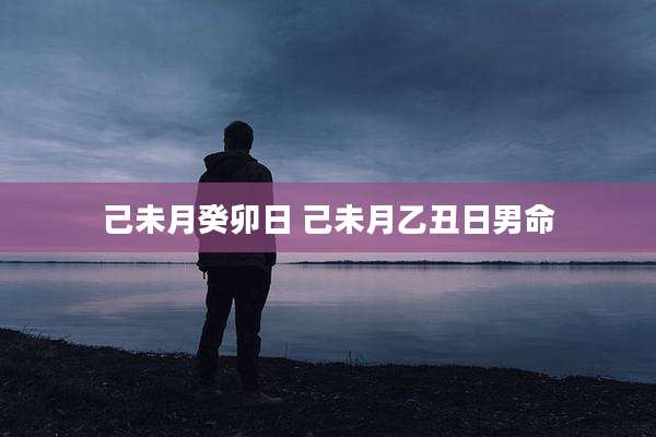 己未月癸卯日 己未月乙丑日男命
