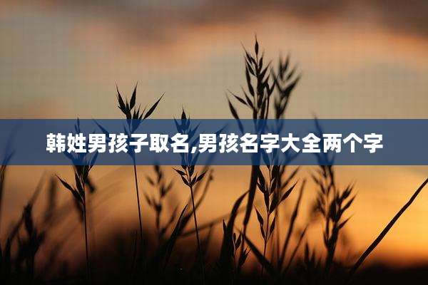 韩姓男孩子取名,男孩名字大全两个字