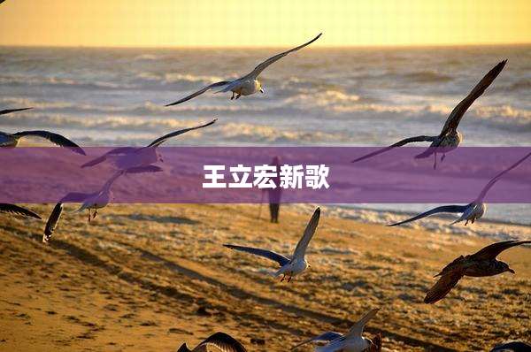 王立宏新歌