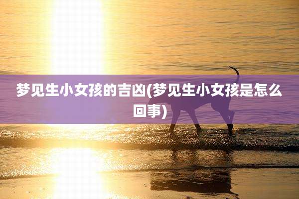 梦见生小女孩的吉凶(梦见生小女孩是怎么回事)