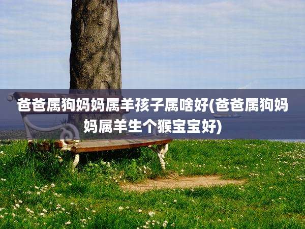 爸爸属狗妈妈属羊孩子属啥好(爸爸属狗妈妈属羊生个猴宝宝好)