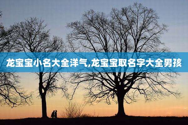 龙宝宝小名大全洋气,龙宝宝取名字大全男孩