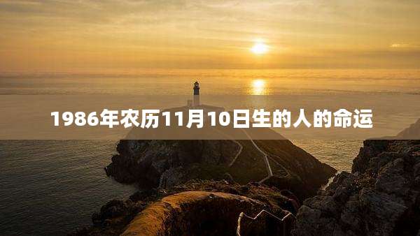1986年农历11月10日生的人的命运