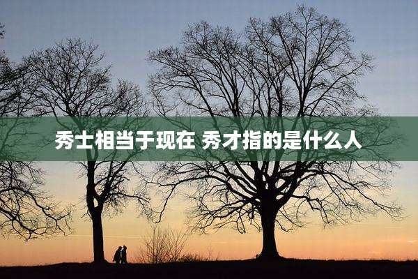 秀士相当于现在 秀才指的是什么人