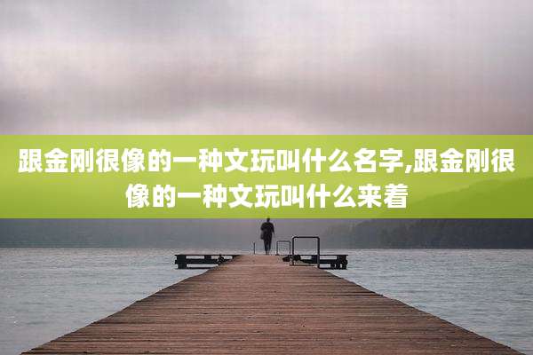 跟金刚很像的一种文玩叫什么名字,跟金刚很像的一种文玩叫什么来着