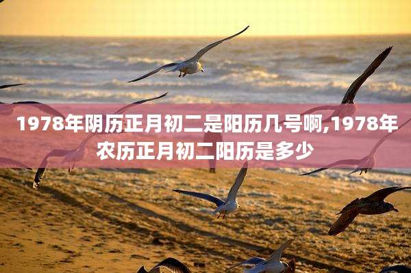 1978年阴历正月初二是阳历几号啊,1978年农历正月初二阳历是多少