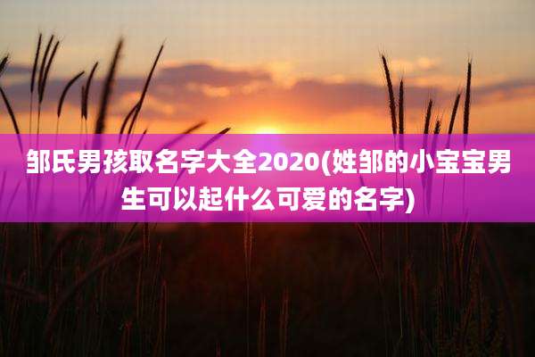 邹氏男孩取名字大全2020(姓邹的小宝宝男生可以起什么可爱的名字)