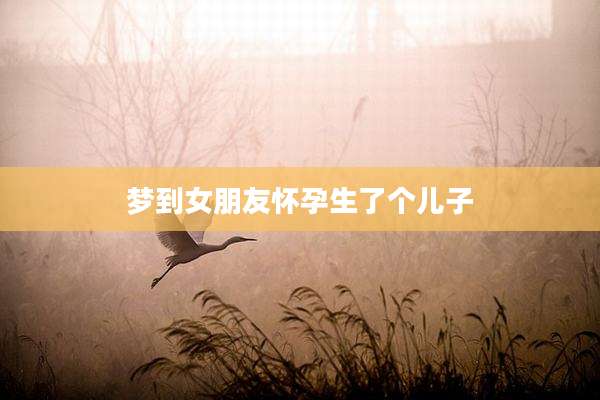 梦到女朋友怀孕生了个儿子