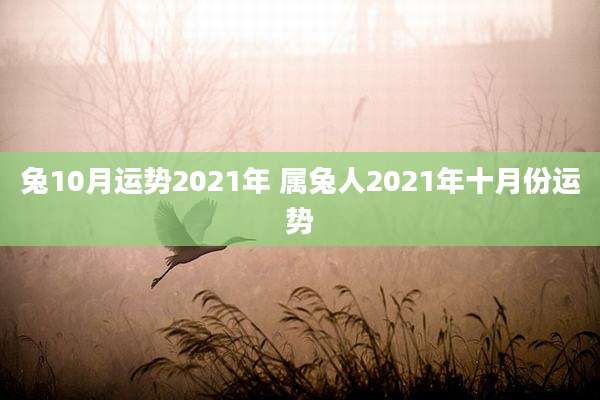 兔10月运势2021年 属兔人2021年十月份运势
