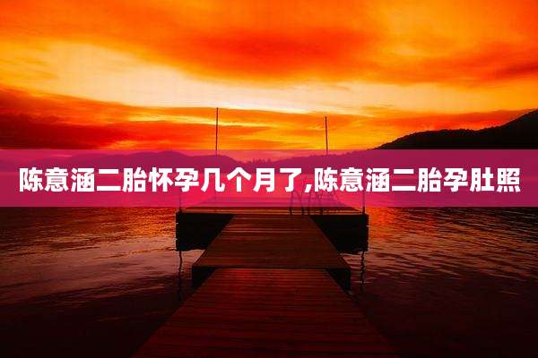 陈意涵二胎怀孕几个月了,陈意涵二胎孕肚照