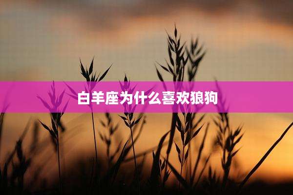 白羊座为什么喜欢狼狗