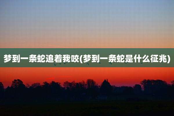 梦到一条蛇追着我咬(梦到一条蛇是什么征兆)
