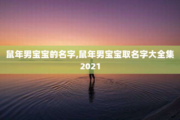 鼠年男宝宝的名字,鼠年男宝宝取名字大全集2021