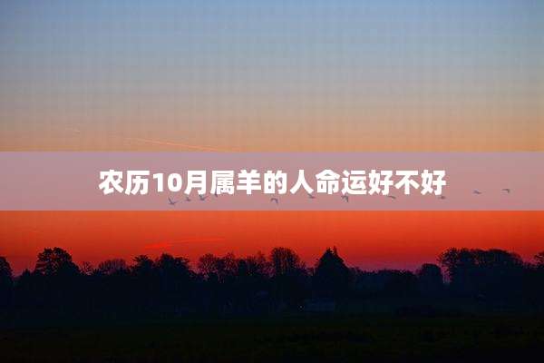 农历10月属羊的人命运好不好