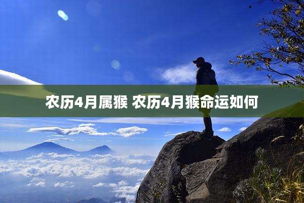 农历4月属猴 农历4月猴命运如何