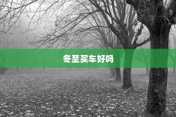 冬至买车好吗