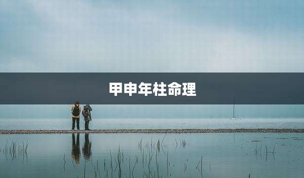 甲申年柱命理
