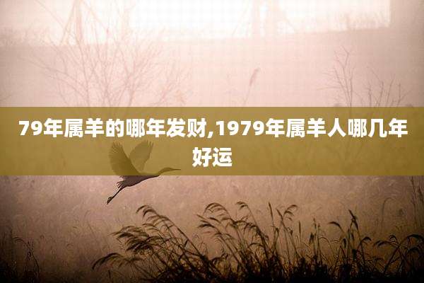 79年属羊的哪年发财,1979年属羊人哪几年好运
