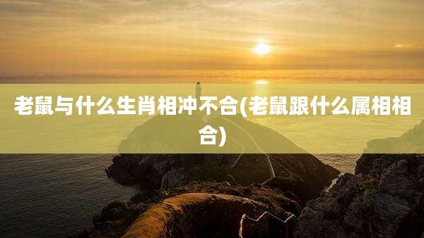 老鼠与什么生肖相冲不合(老鼠跟什么属相相合)