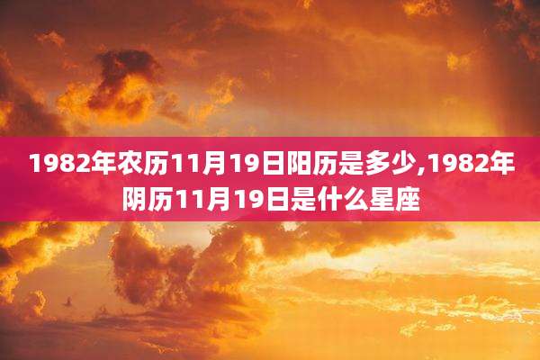 1982年农历11月19日阳历是多少,1982年阴历11月19日是什么星座