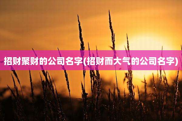 招财聚财的公司名字(招财而大气的公司名字)